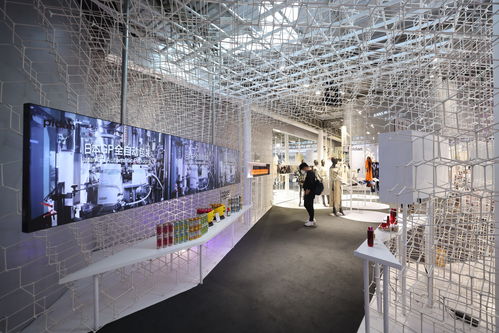 進(jìn)博直擊⑥ 百年字號與年度新品閃耀上海館，共譜網(wǎng)絡(luò)文化新篇章